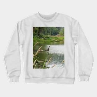 double crested cormorant #1 Crewneck Sweatshirt